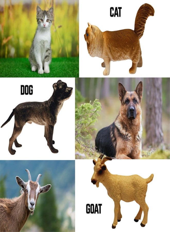 Mallexo Realistic Big Size Farm Animal Toys for Kids 2+ Years | 6PCs Pet Animals Action Figure Set | Domestic Animal Peacock, Horse, Dog, Cow, Hen etc Birthday Gifts for Children Jungle Animals - Image 4